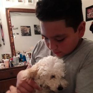 Meet your Posher, Liborio